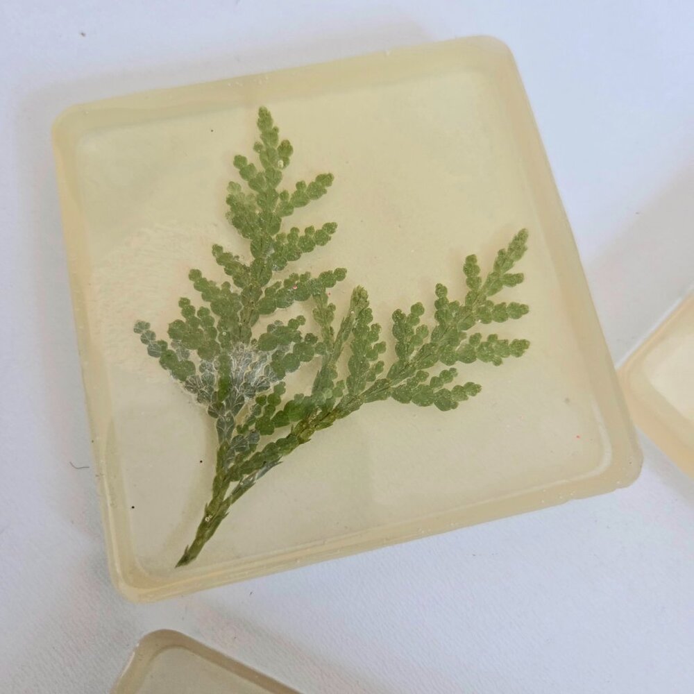 Set of 4 vintage handmade Lucite coasters with dry pressed leaves. - Picture 5 of 8